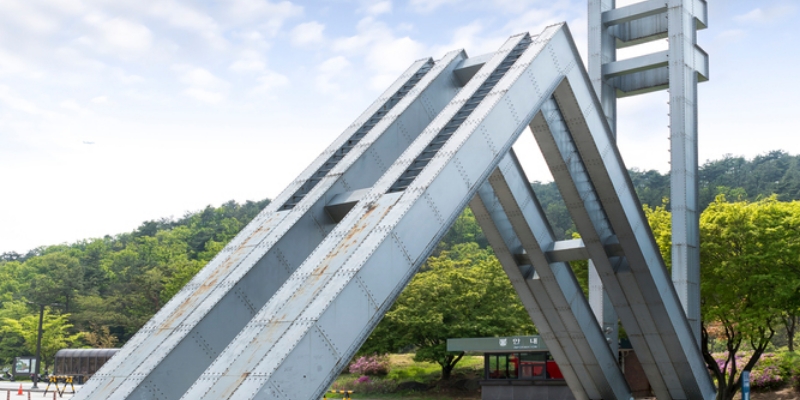 서울대 출신 대표원장의 진료 시스템